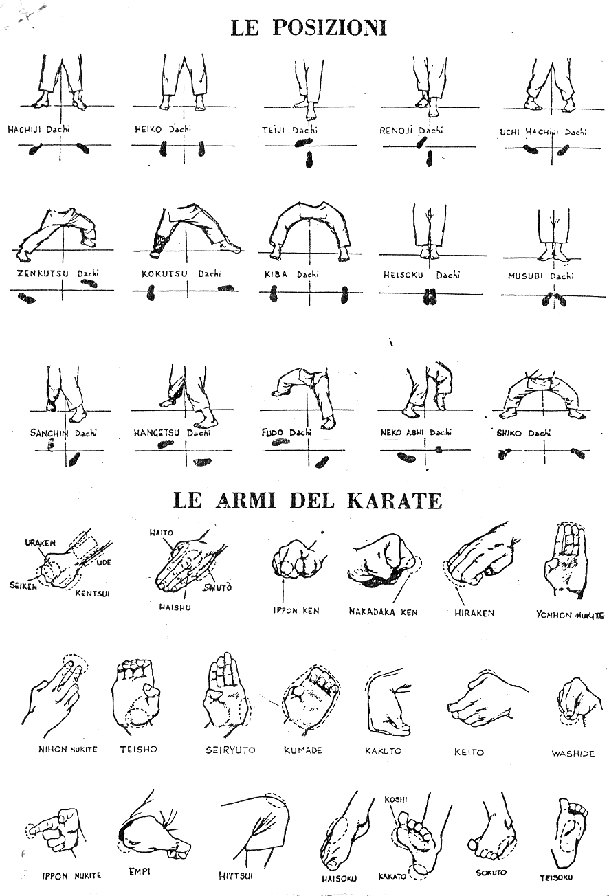 JEMBER KREASI koleksi gambar karate shotokan kata 