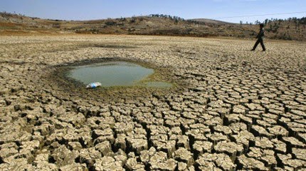 Nordeste tem 388 cidades em emergência com estiagem