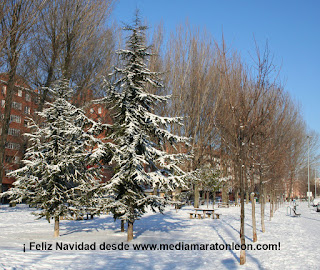 felicitacion de navidad