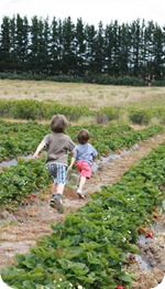 IMG_7725 (Large)
