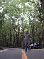 Bohol Manmade Forest_03
