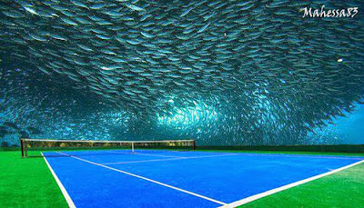 Mengenal Lapangan Tenis Di Bawah Laut Dubai