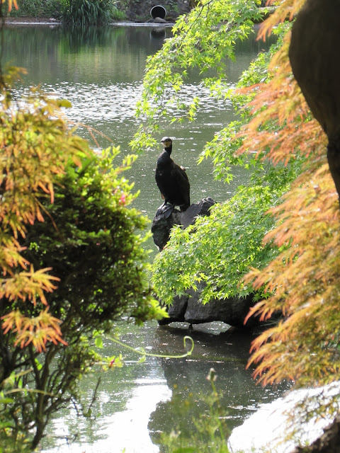 Shinjuku-gyoen