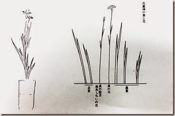 生活の中に花を 岐阜県多治見市池坊いけばな稽古日記 生け花教室 華道教室 生花一種生け 花菖蒲 生け方