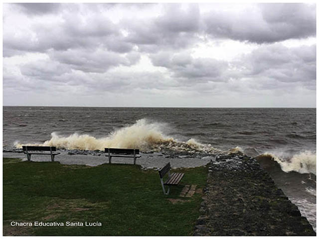 Viento en la costa-Chacra Educativa Santa Lucia