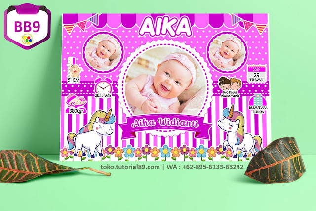 Biodata Bayi Costume Baby Girl Kode BB9 | Kuda Poni