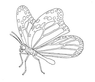 how to draw a butterfly