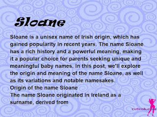 meaning of the name "Sloane"