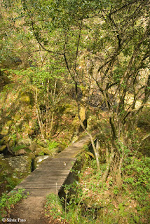 Paso junto al río