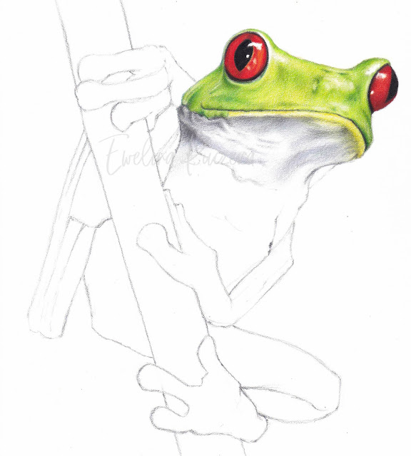 The picture shows the seventh step from the tutorial - coloring the frog's body