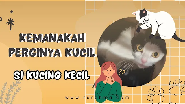 Kemanakah perginya kucil si kucing kecil