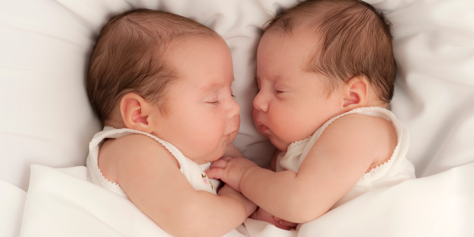 Anda Ingin Memiliki Anak Kembar Begini Caranya Sehat Alami News