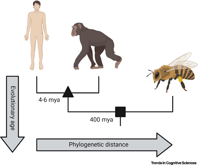 नया जीनोम डेटा मानव विकास के पारंपरिक दृष्टिकोण को चुनौती देता है    |    New Genome Data Challenges Traditional View of Human Evolution in hindi