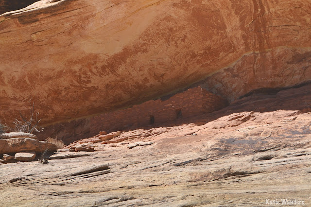 Horse Collar Ruins at Natural Bridges National Monument 