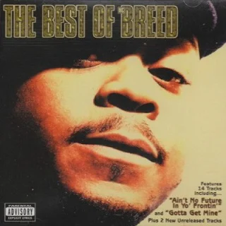 MC Breed – The Best Of MC Breed (1995) FLAC