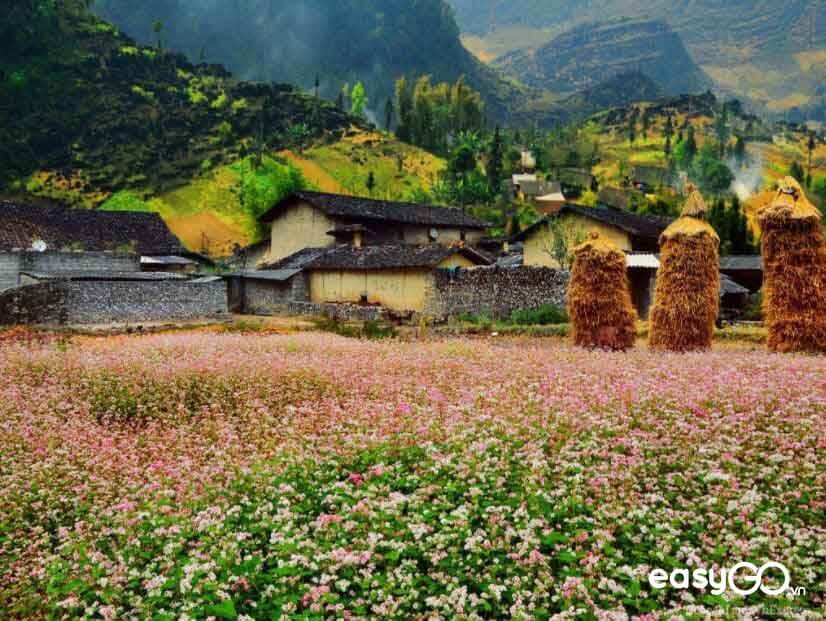 địa điểm du lịch Hà Giang