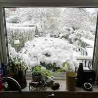 Snowfall