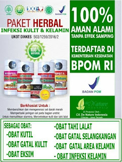 Obat Kutil Kelamin Terbaik