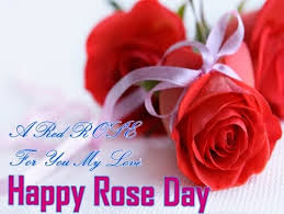   Latest HD Rose Day Quote IMAGES Pics, wallpapers free download 25