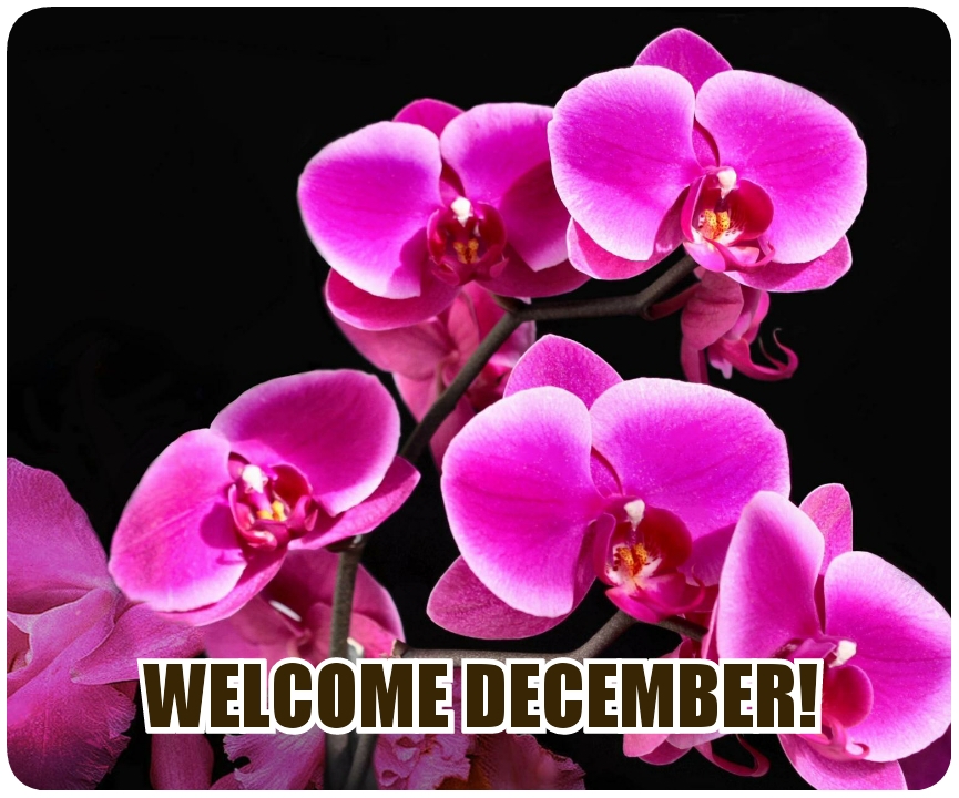 Welcome December!