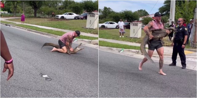 Lutador de MMA é flagrado dominando jacaré de 2,5 metros em via pública