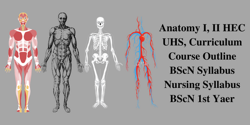 Anatomy I, II HEC,UHS, Curriculum, Course Outline, Syllabus