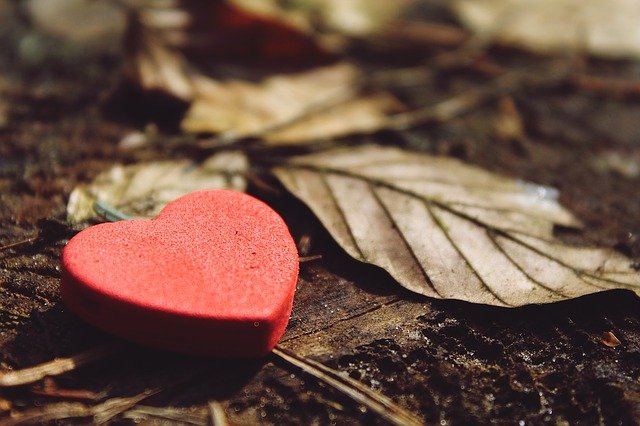 A wooden red heart and a dried leaf on the ground