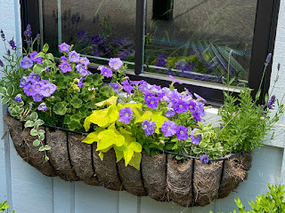 basket of flowers photo by mbgphoto