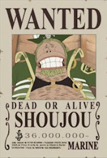 bounty shoujou one piece