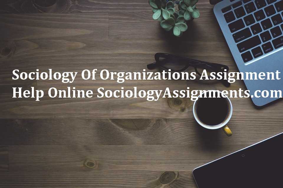 Sociology Of Government Assignment Help Online