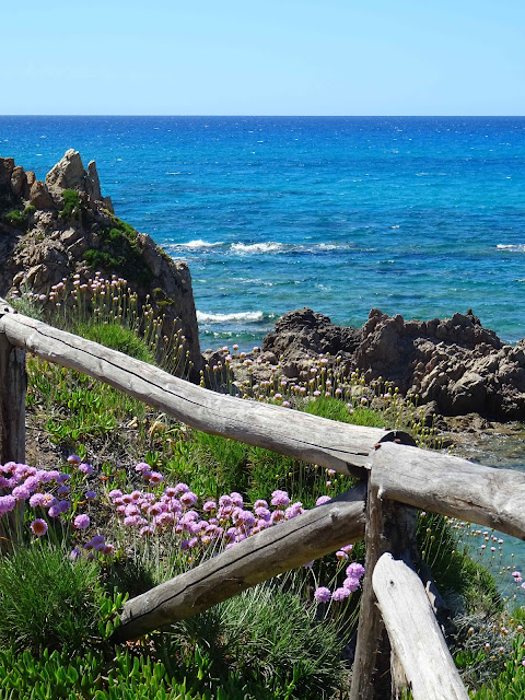 Sardinia in May Trip report
