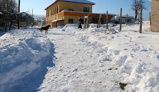 Round the corner past the chicken house