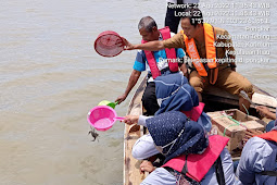 200 Ekor Anak Kepiting Bakau Dilepas PT Timah Tbk bersama Masyarakat di Desa Pongkar