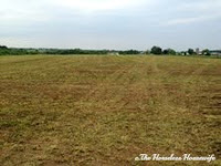 mowed hay field