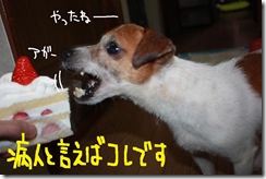 今日カズ１００１２７　５