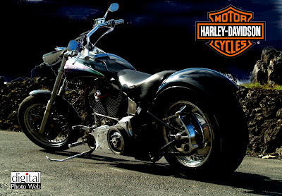 harley davidson motorcycle