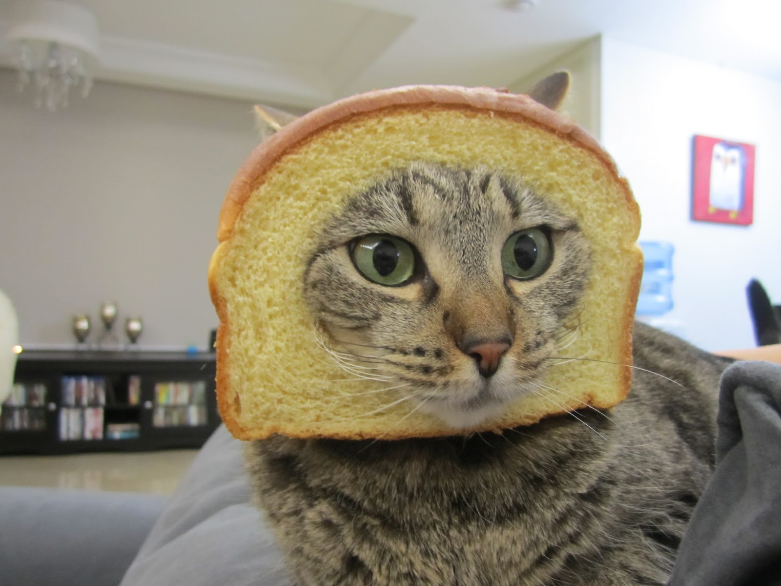 Gayle Tales: In-Bread Meme