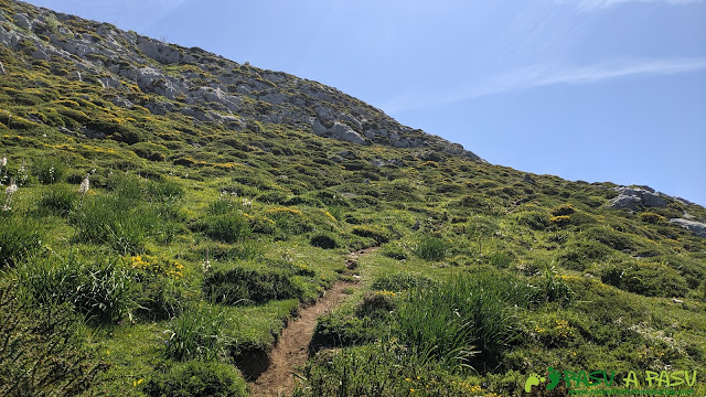 Sendero en la zona baja de la Panza del Tiatordos