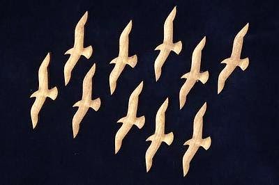 http://www.uniquelaserdesigns.com/#!product/prd1/1841034925/gulls-%2810pc-set%29