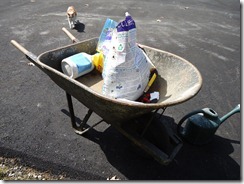 My favorite garden tool - old cement wheelbarrow Avon pictures 010