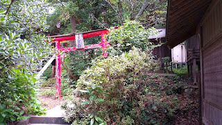 人文研究見聞録：住吉神社（益田市） ［島根県］