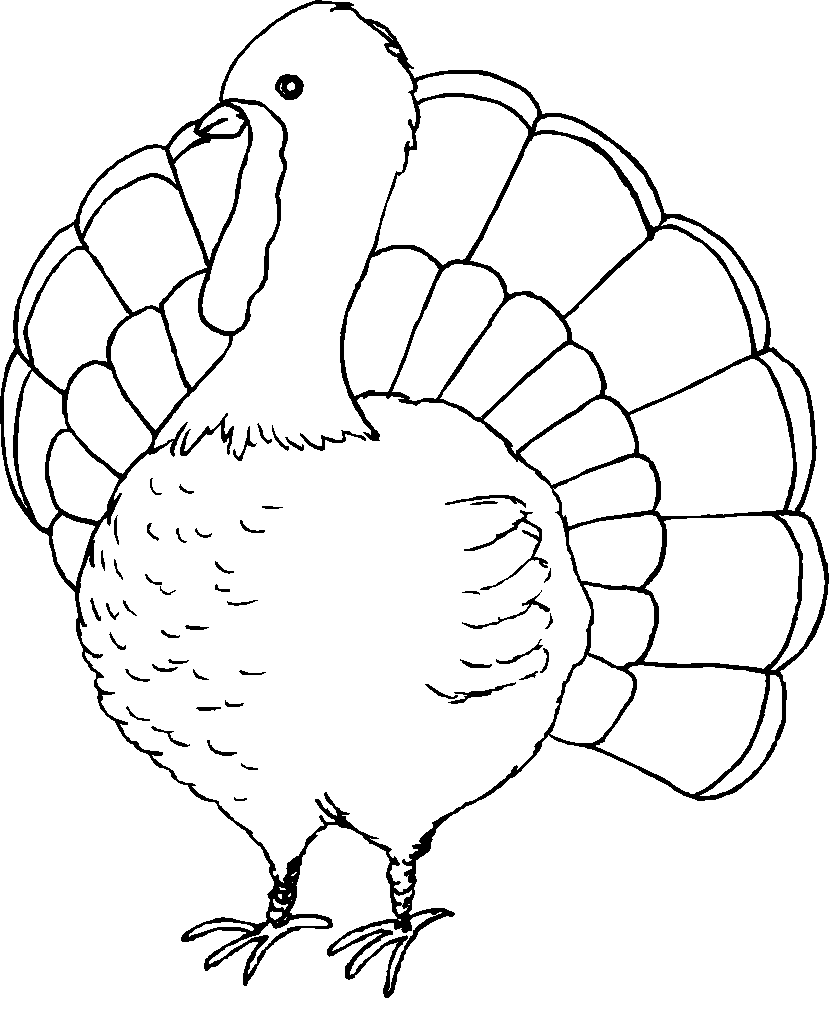 Thanksgiving Turkey Coloring Pages 2
