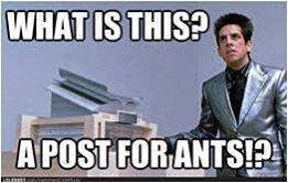 What is This a Post for Ants | Facebook Photo Comment