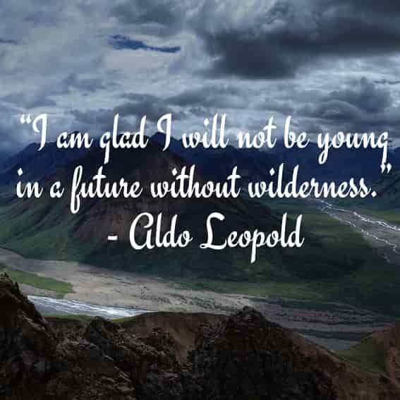 i am glad i will not be young in a future without wilderness