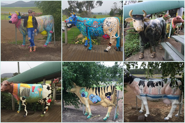 A collection of cows outside Ashgrove Farm Cheese shop, Tasmania