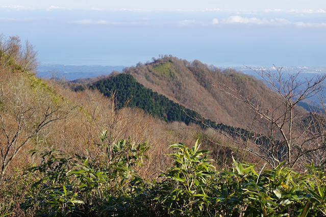 岡山県真庭市蒜山上福田 擬宝珠山頂からの眺望