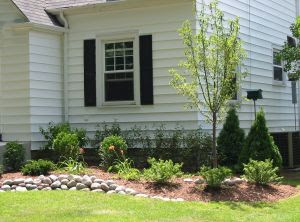 Small Front Yard Landscaping Ideas