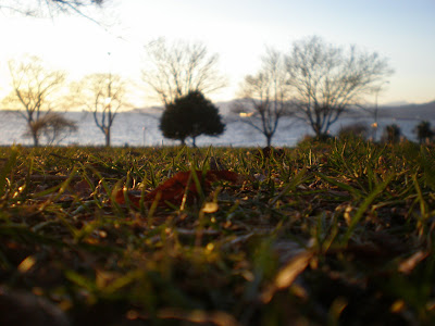 more of english bay