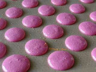 Macaron ganache myrtille