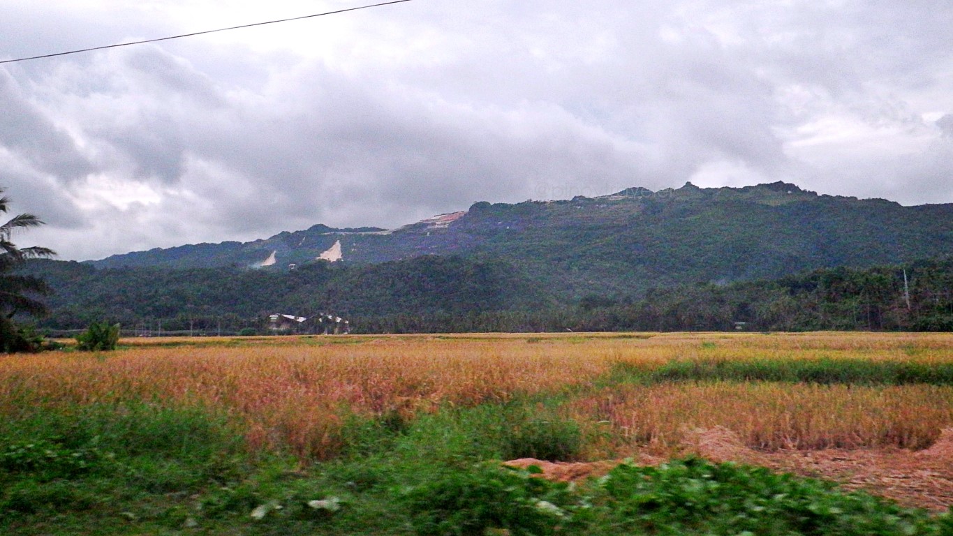landslides on the hills near Philippine Mining Services Corporation (PMSC) in Garcia-Hernandez, Bohol